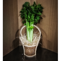 Celeri branche espagne