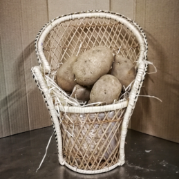 Pommes de terre france